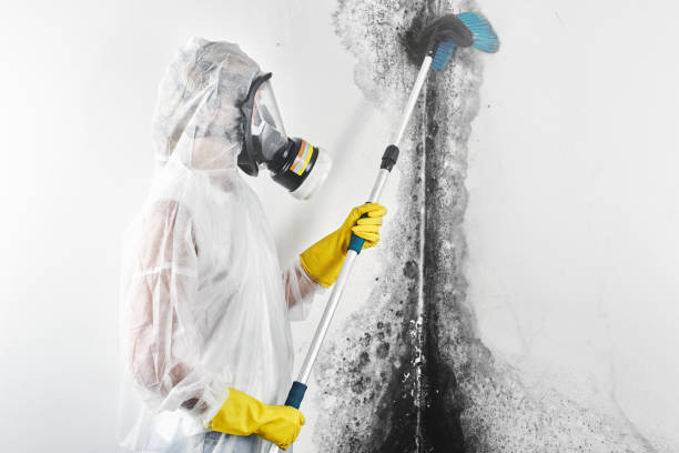 Best Airborne Mold Testing  in Downey, CA