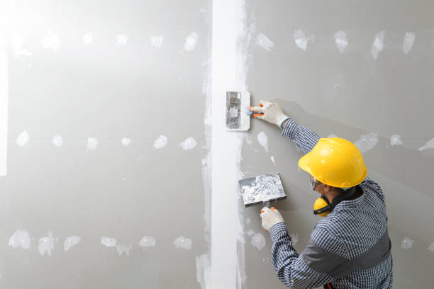 Mold Removal for HVAC Installations in Downey, CA
