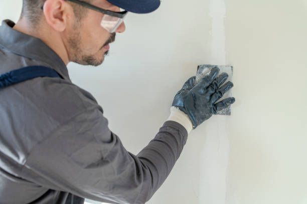 Professional Mold Removal in Downey, CA