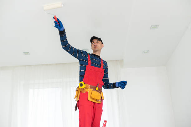 Best Basement Mold Removal  in Downey, CA